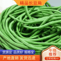 精品豆角，豇豆，长豆角，黄条，电商，超市产地直发