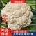 花菜，云南沪西精品有机花菜，白面青梗松花菜，地头现砍现发