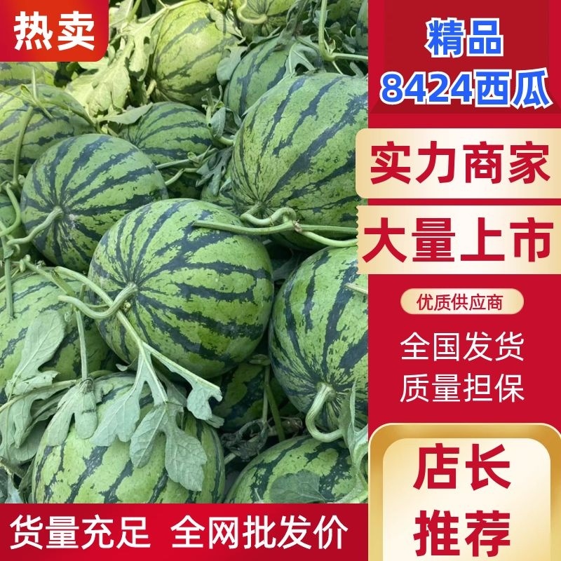 西瓜/8424西瓜山东西瓜/菏泽西瓜/大量供应代发全国