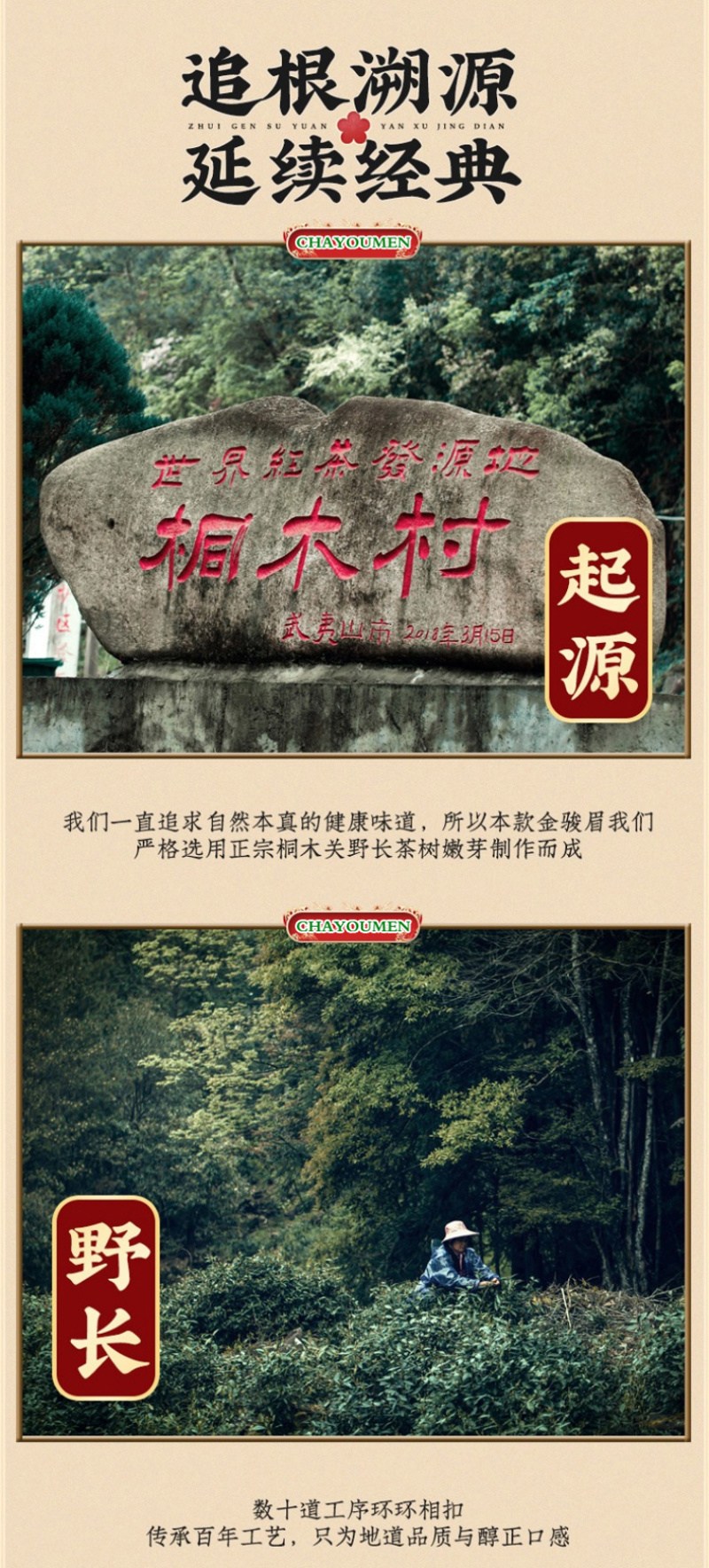 金骏眉红茶武夷山正宗浓香型蜜香金俊眉小种茶叶罐装500克
