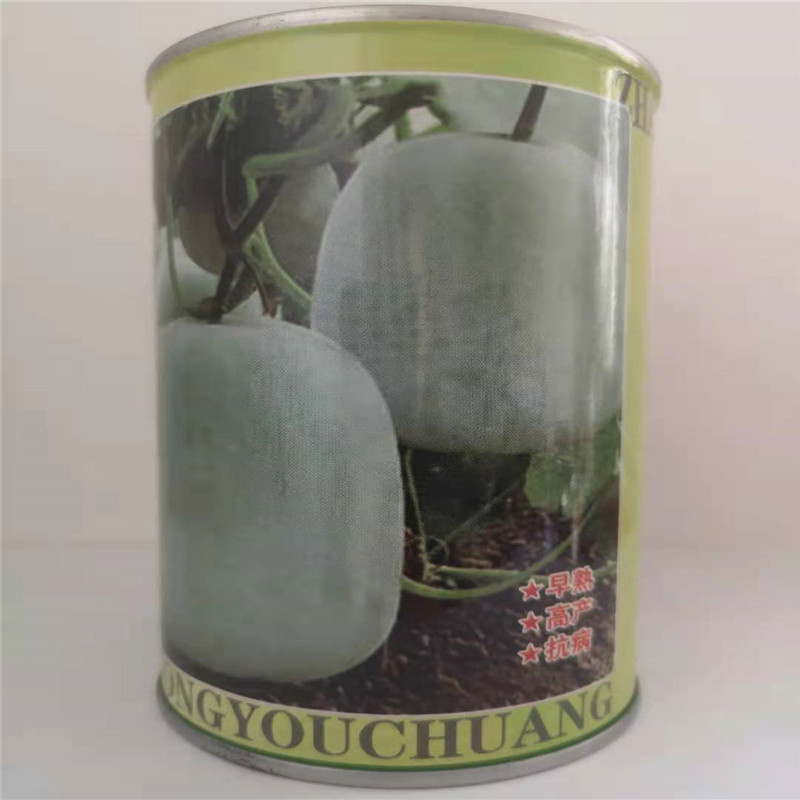北京一串玲小冬瓜种子小节瓜种籽白粉色迷你冬瓜种味浓四