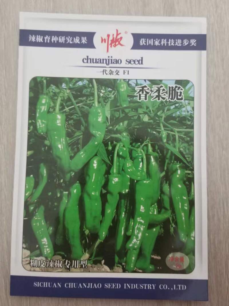 四川辣椒种子川椒种业|辣椒种子|香柔脆