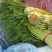 红帽蒜苔新鲜上市批发全国货源充足货品质量好价格便宜