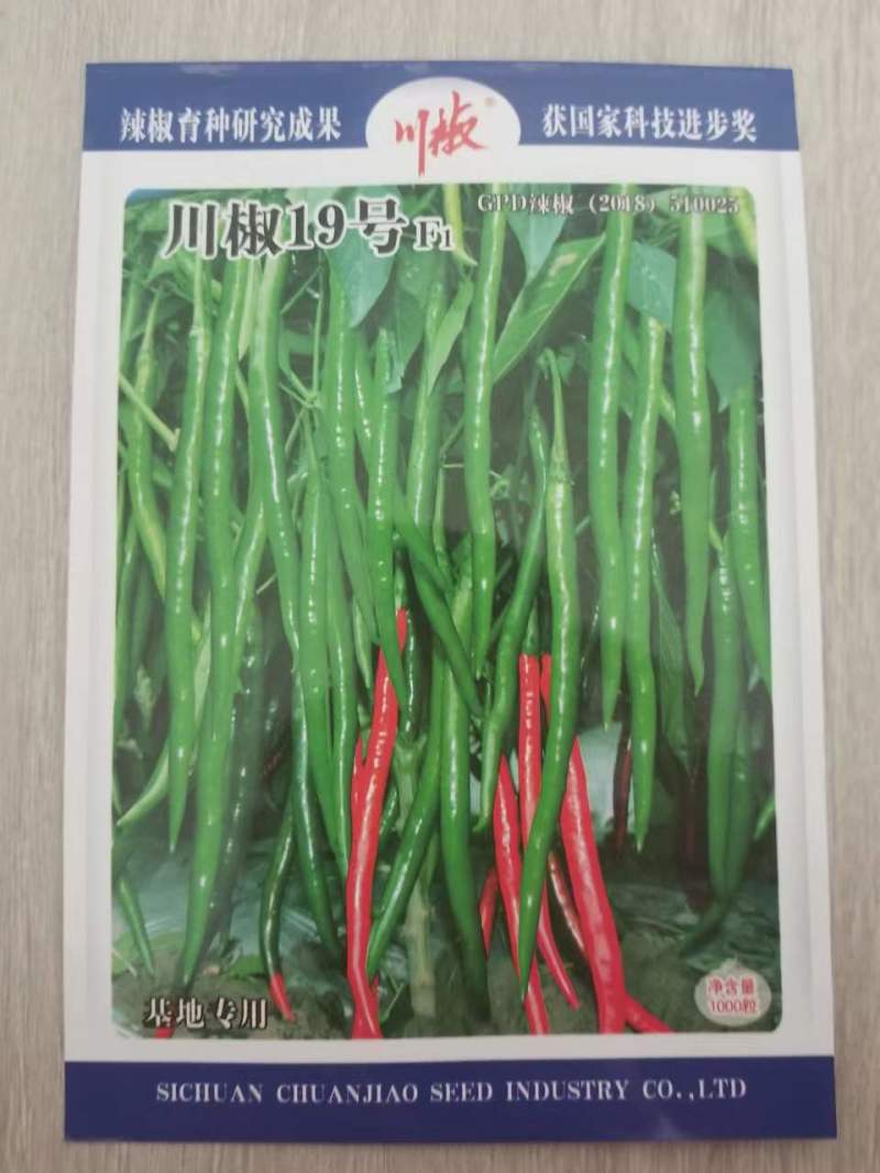 四川辣椒种子川椒种业线椒种子川椒19号8g/袋