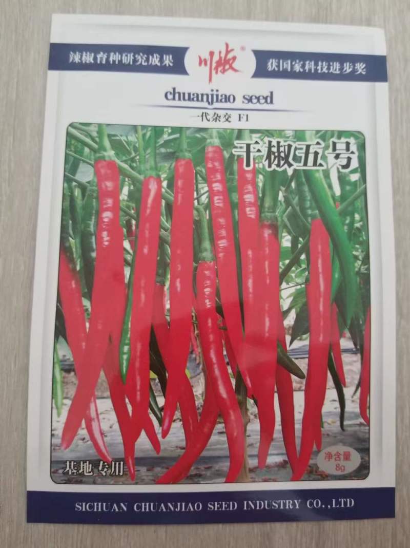 四川辣椒种子川椒种业干椒5号辣椒种子8g/袋