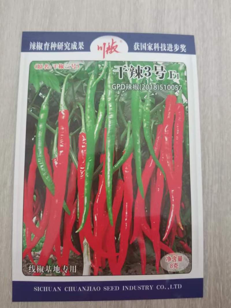 四川辣椒种子川椒种业干辣3号辣椒种子8g/袋