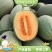 海南【精选】哈密瓜皮薄肉厚质好价优大量现货代发全国