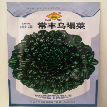 乌塌菜种子黑菜小八叶种子超耐寒春季叶柄翠绿高产粗纤维少