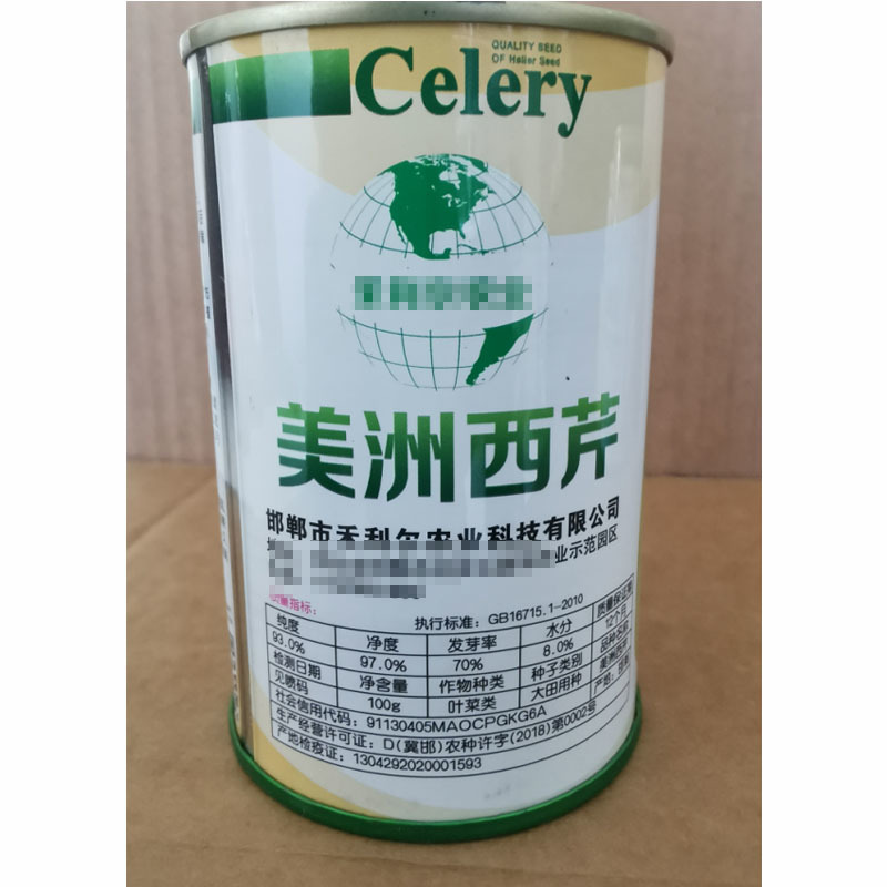 美洲西芹种子中熟长势强产量高不空心陆地专用