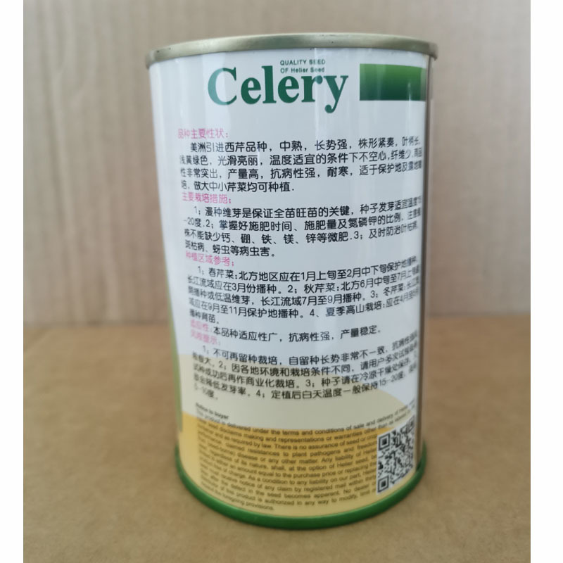 美洲西芹种子中熟长势强产量高不空心陆地专用