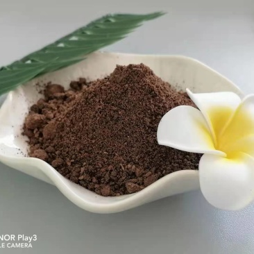 厂家直销棕榈粕猪牛羊饲料进口棕榈粕质量保证量大从