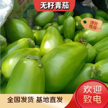 基地大棚无籽青茄子，大量上市，保质保量，供货时间长，
