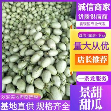河南省内黄县景甜甜瓜大量上市，质量好价格低，一手货源