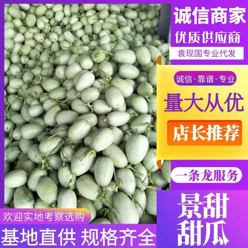河南省内黄县景甜甜瓜大量上市，质量好价格低，一手货源