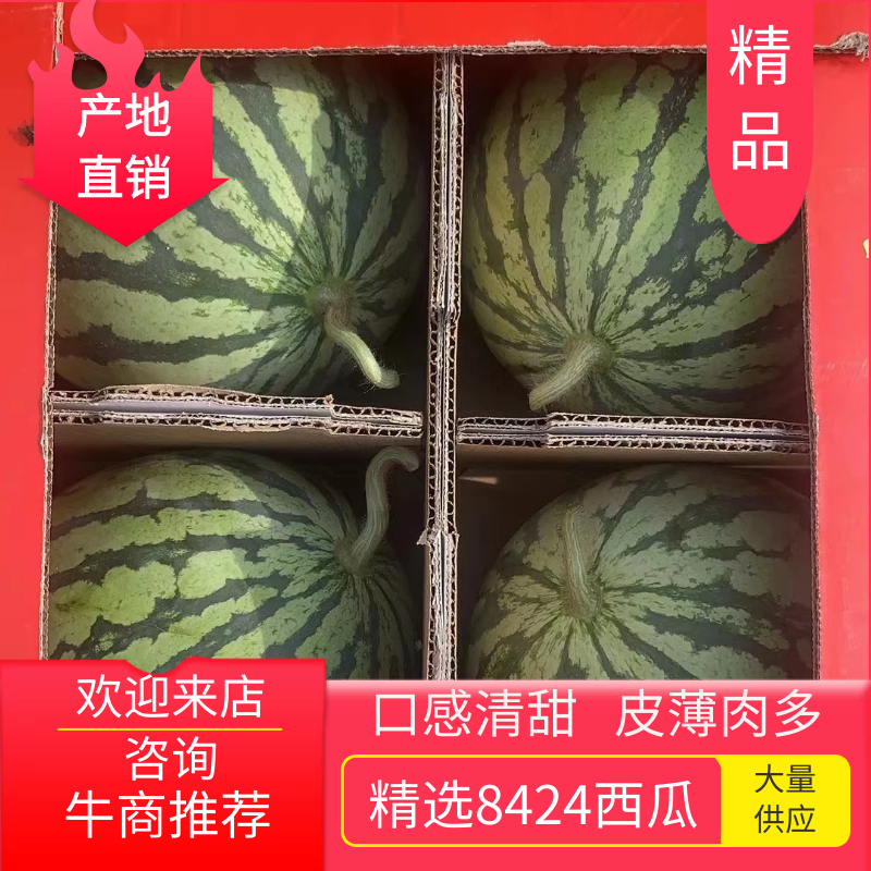 有籽美度大量上市高糖度口感酥脆