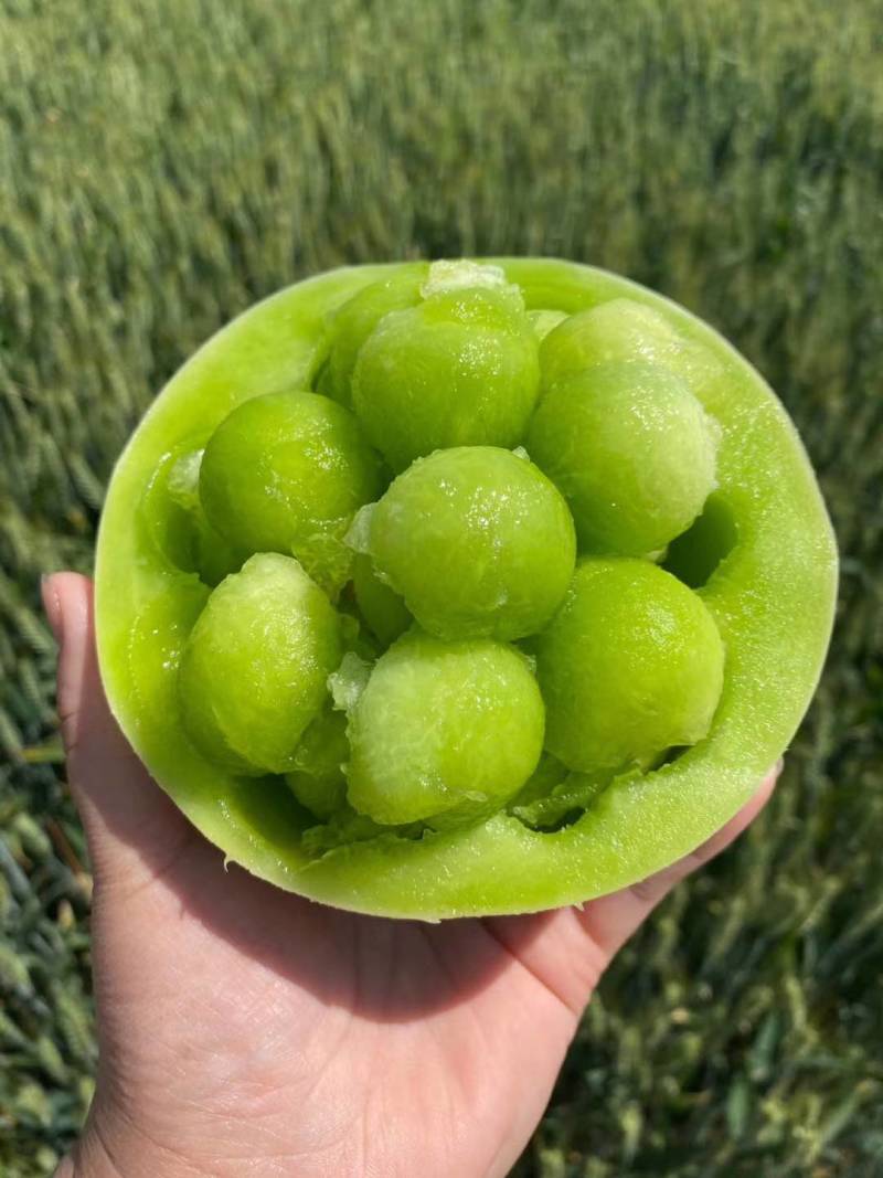 精品甜瓜，玉菇甜瓜产地直销中，货源充足，品质保证