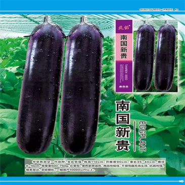 南国新贵茄子种子长果型紫黑油亮长茄种子高产