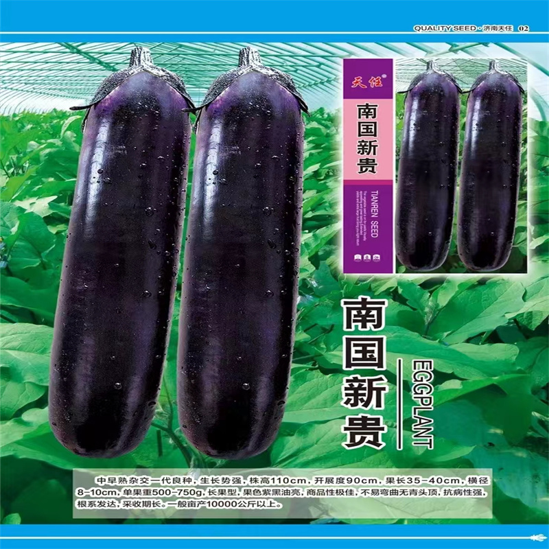 南国新贵茄子种子长果型紫黑油亮长茄种子高产