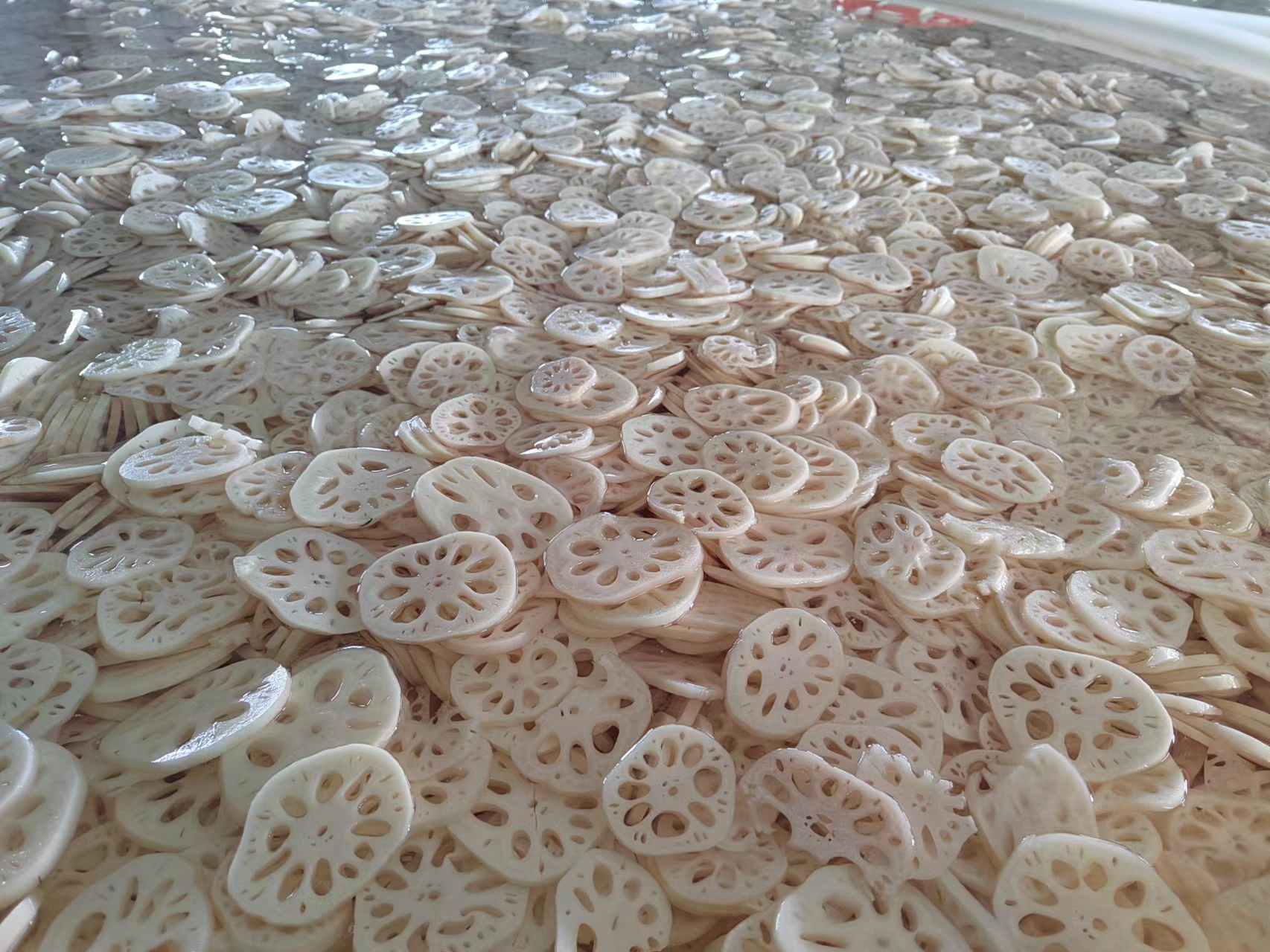 莲藕多种烹饪方式展示图