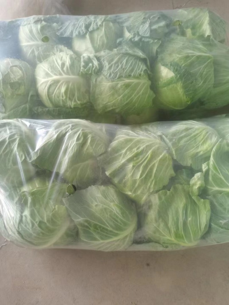 精品甘蓝包菜新鲜莲花白蔬菜包菜平白菜青菜卷心菜甘蓝菜基地