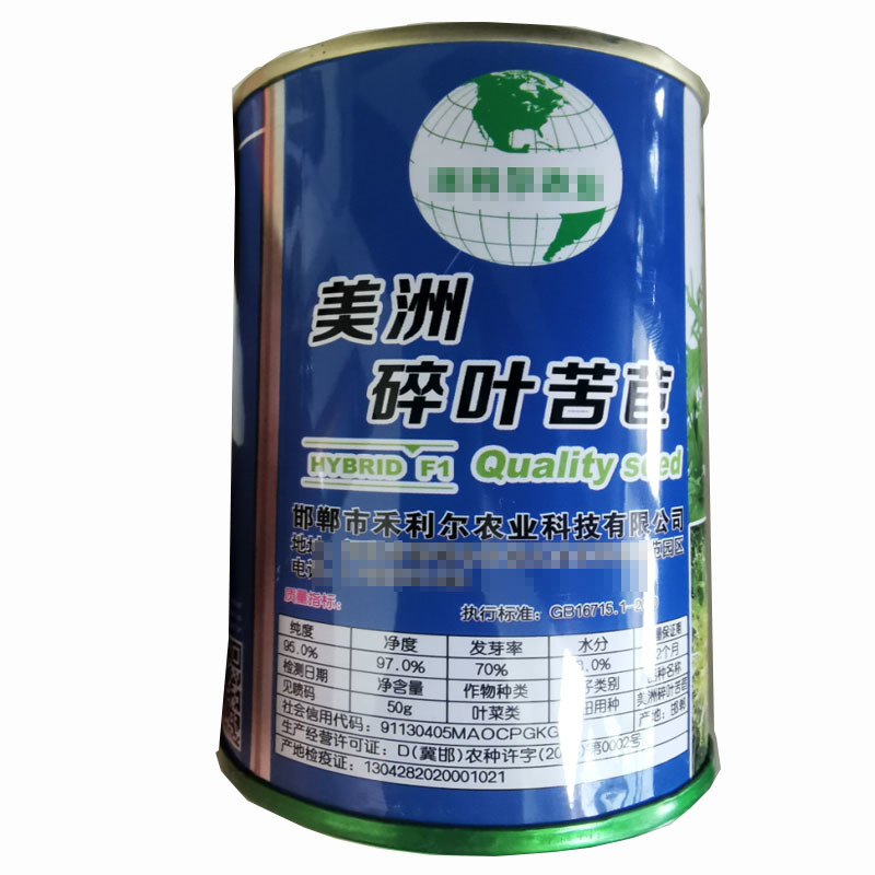 碎叶苦苣种子黄心碎叶散叶花叶苦菊生菜籽四季阳台庭院大田