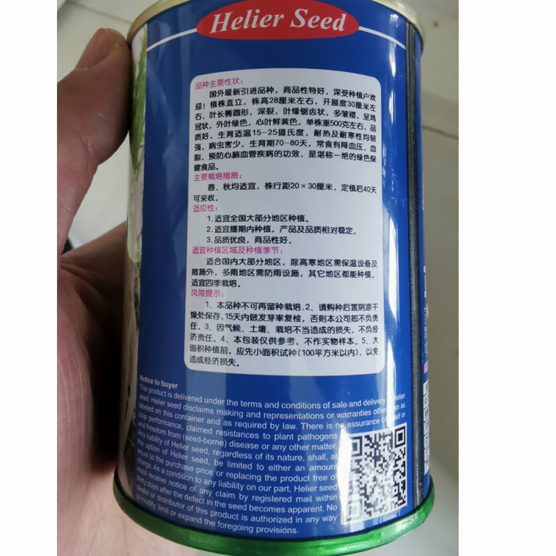 碎叶苦苣种子黄心碎叶散叶花叶苦菊生菜籽四季阳台庭院大田