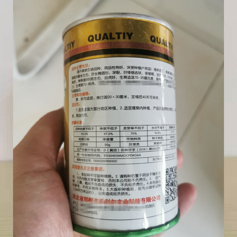 小狗牙苦菊种子碎叶苦苣种籽黄心苦菊野菜蔬菜特菜
