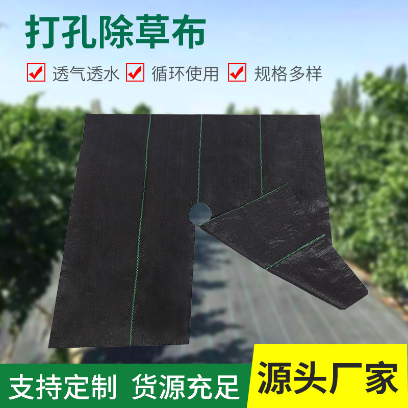 除草布防草布地布盖草布园艺地布园林布树苗防草布厂家供应