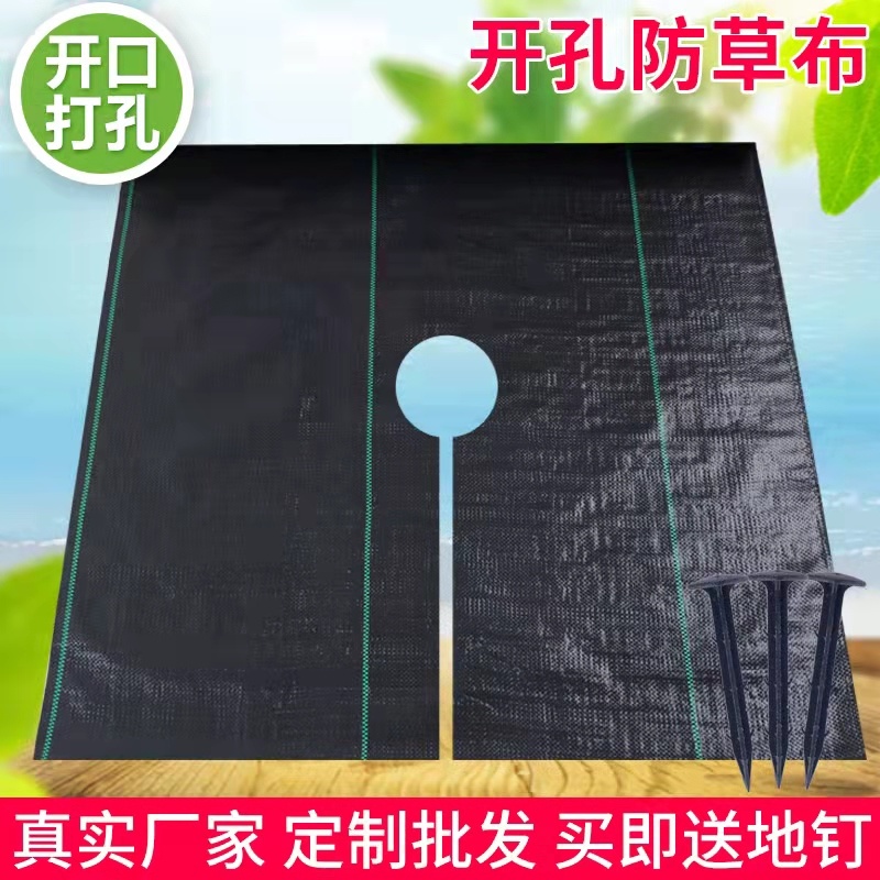 除草布防草布地布盖草布园艺地布园林布树苗防草布厂家供应