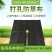 除草布防草布地布盖草布园艺地布园林布树苗防草布厂家供应