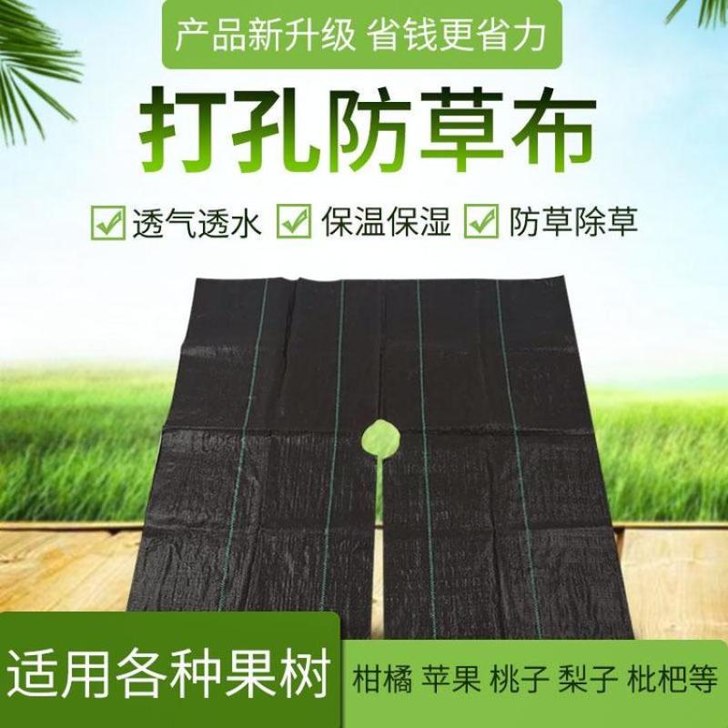 除草布防草布地布盖草布园艺地布园林布树苗防草布厂家供应
