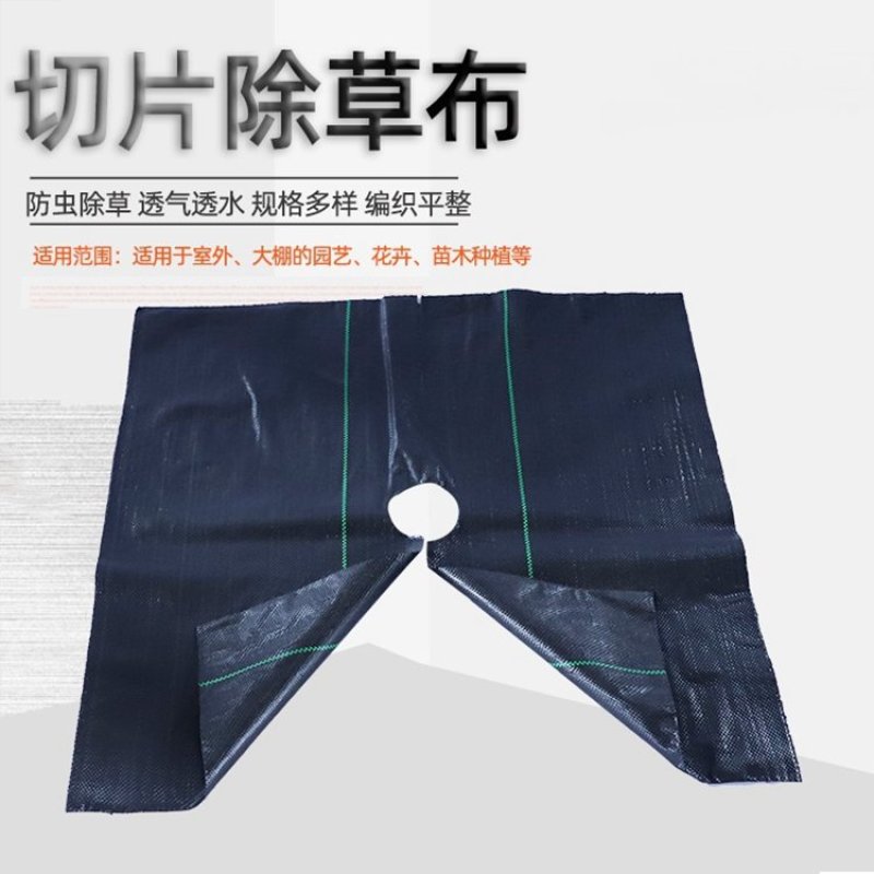 除草布防草布地布盖草布园艺地布园林布树苗防草布厂家供应