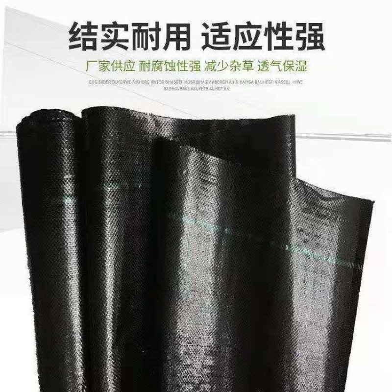 除草布防草布地布盖草布园艺地布园林布树苗防草布厂家供应