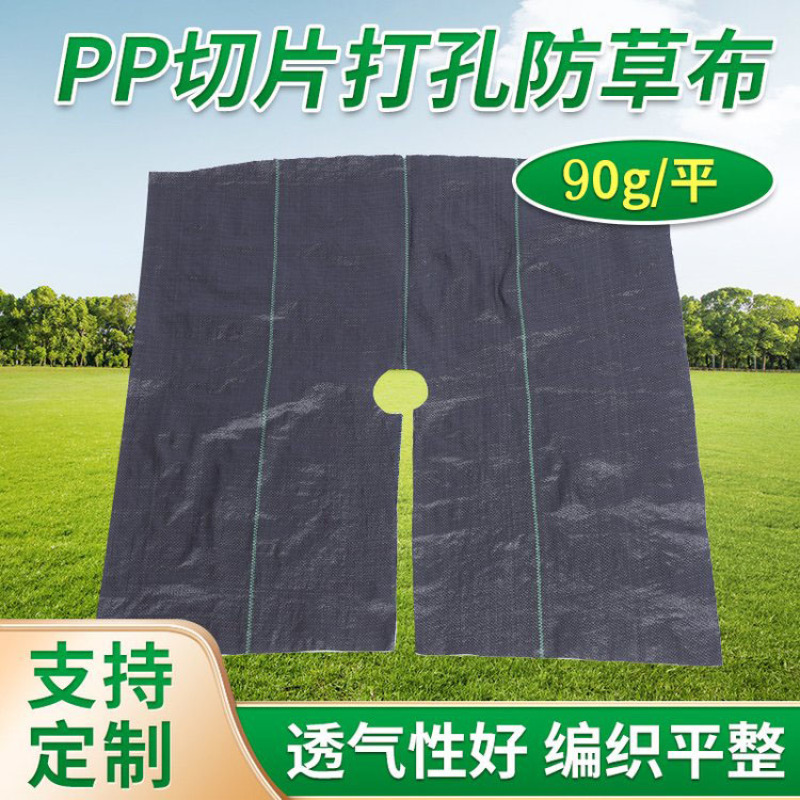 除草布防草布地布盖草布园艺地布园林布树苗防草布厂家供应