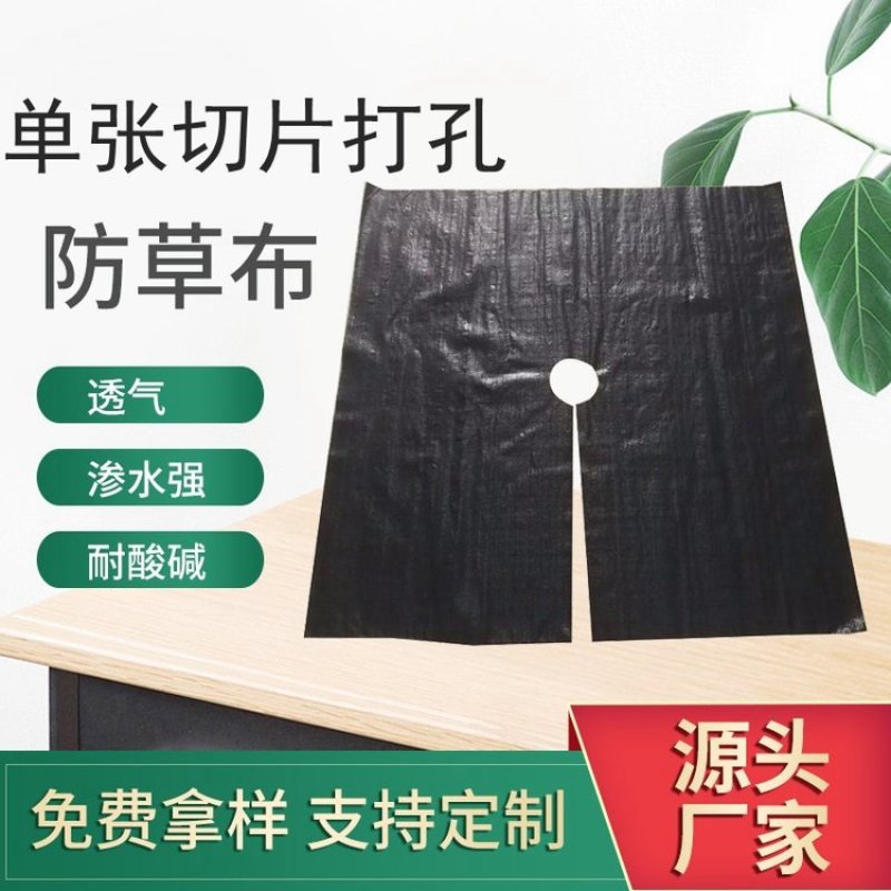 除草布防草布地布盖草布园艺地布园林布树苗防草布厂家供应