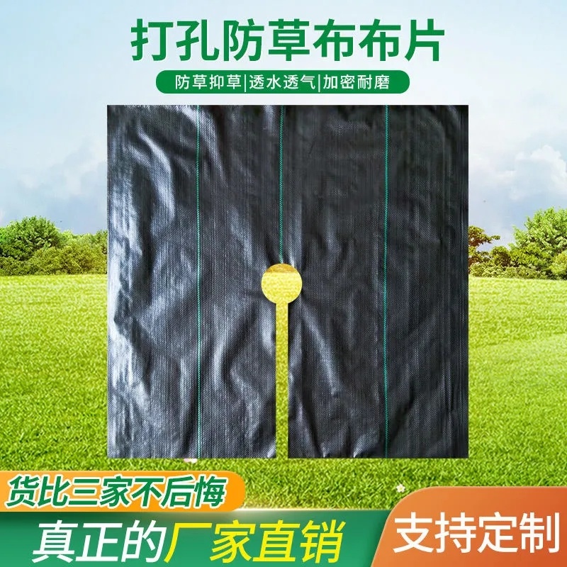除草布防草布地布盖草布园艺地布园林布树苗防草布厂家供应