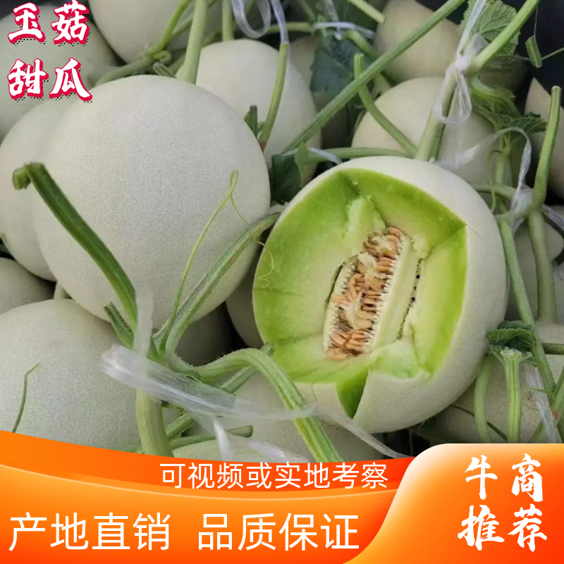 精品甜瓜，玉菇甜瓜产地直销中，货源充足，品质保证