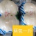 【一手货源】兰州鲜百合，水果百合，甜脆可口，产地直发，