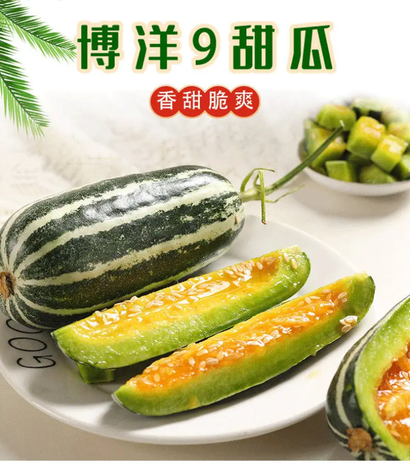 精品甜瓜博洋9号原产地一手货源直发量大价优欢迎选购