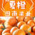 湖北秭归夏橙产地现摘现发皮薄肉嫩水分充足品质保证