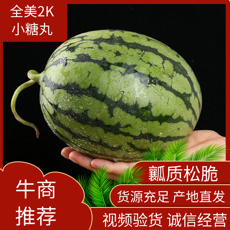 全美2k，2k小吊瓜，冰糖籽小糖丸手剥皮牛奶爆瓜一手货源
