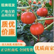 【推荐】南瓜红南瓜一手货源可视频看货供应全国
