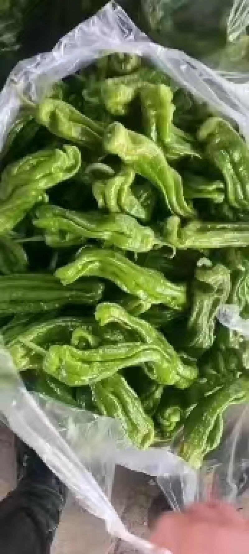 精品本地货，青皮椒大量上市，量大从优，质量有保证。
