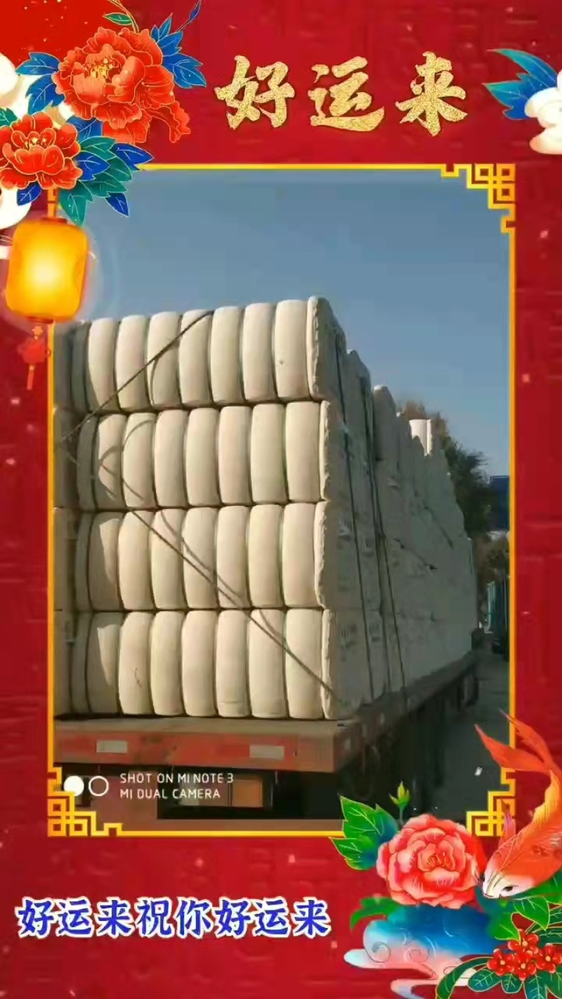 精品长绒棉新疆厂家直发质量保证量大价优欢迎选购