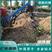挖坑机四轮带的植树抛坑机电杆打坑机果树杨树专用
