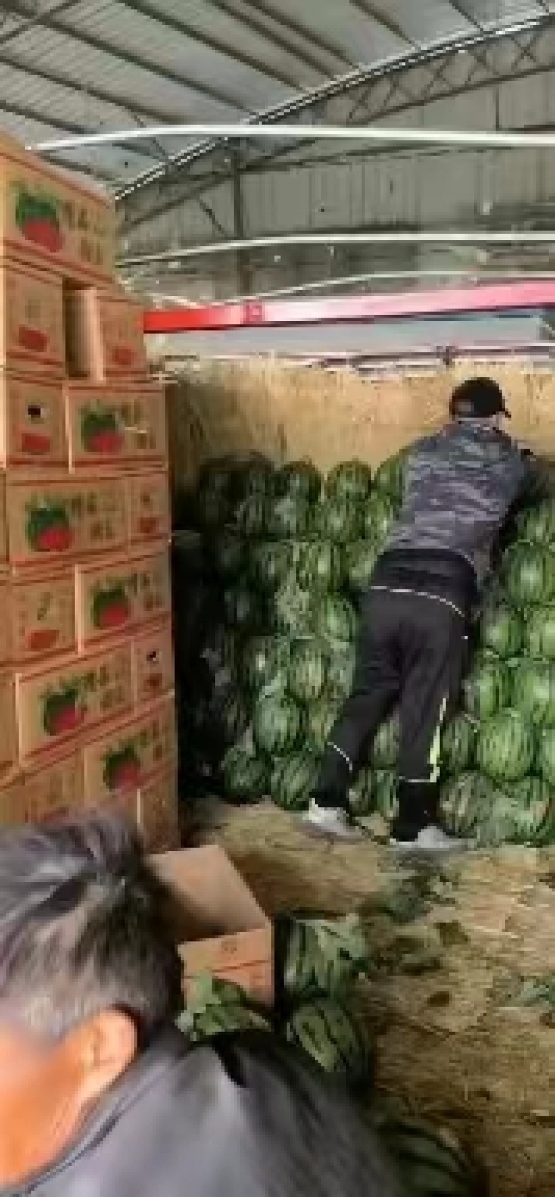 甜王西瓜电商优选精品商超规格小销量大需要联系