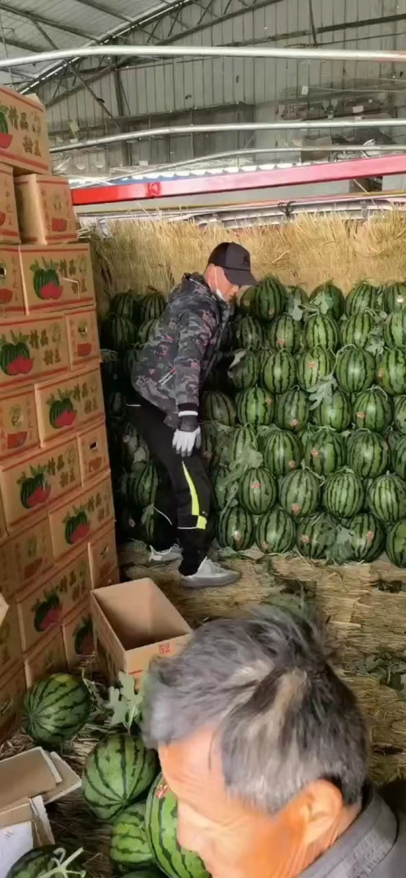 甜王西瓜上市大鹏西瓜甜度高瓜皮薄瓤口好！