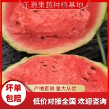 甜王西瓜上市大鹏西瓜甜度高瓜皮薄瓤口好！