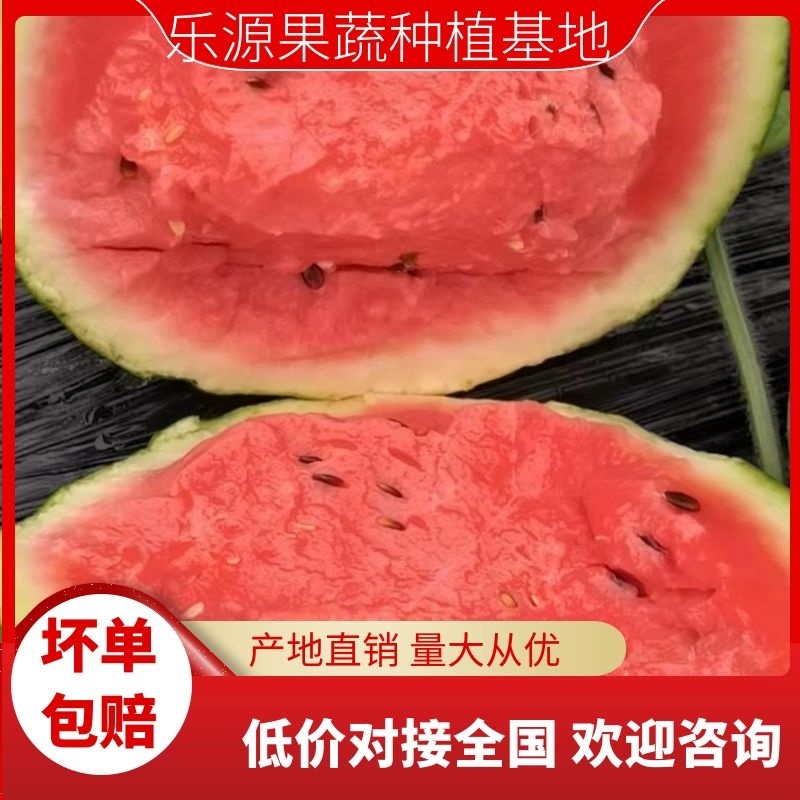 甜王西瓜上市大鹏西瓜甜度高瓜皮薄瓤口好！