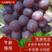 葡萄品种齐全茉莉香着色香葡萄大量上市中欢迎咨询